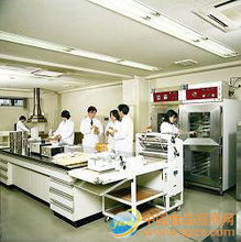 半干面包糠招商加盟与批发采购全攻略 价格、报价与食品经营要点解析